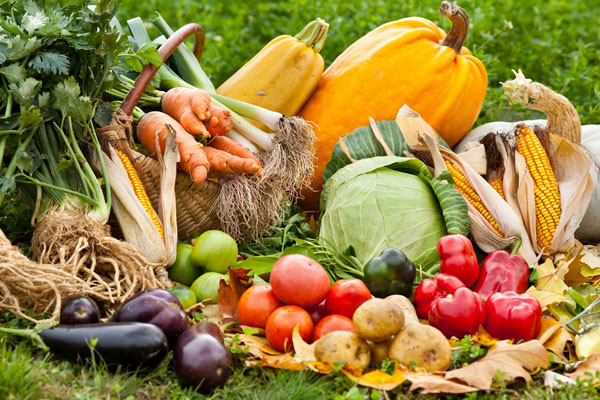 Vegetales