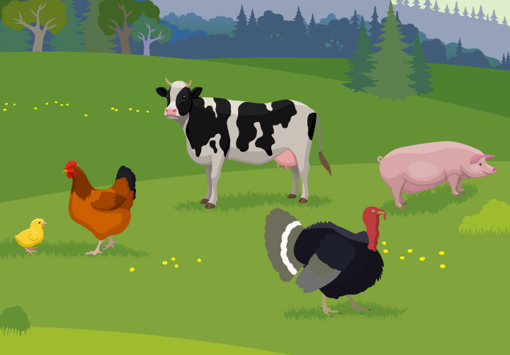 Animales de granja