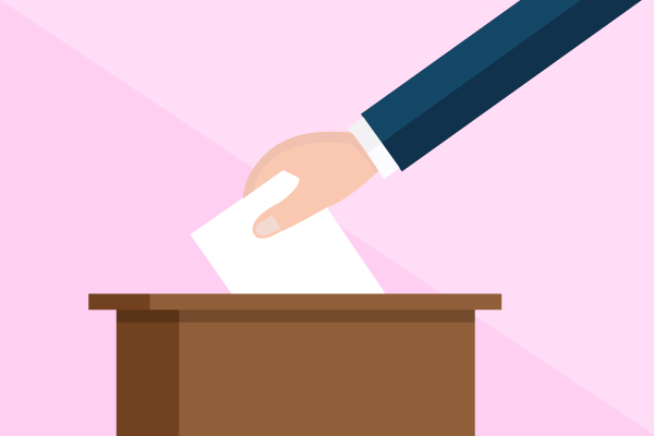 Votar Elección