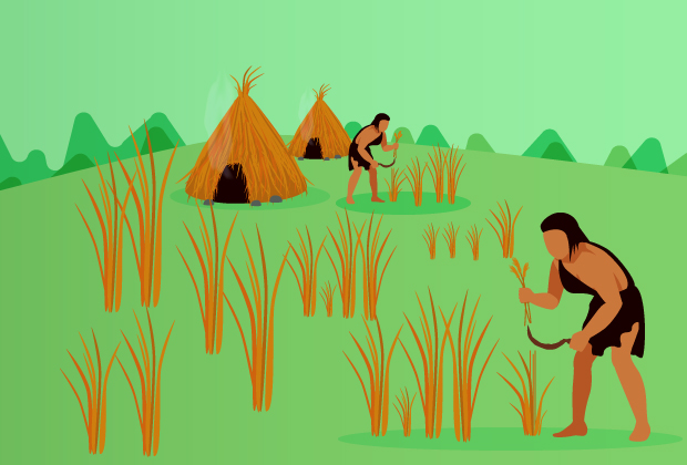 Hombres prehistóricos cosechando trigo