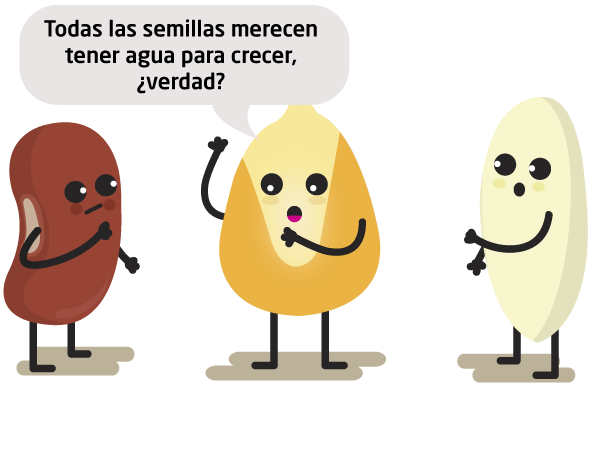 Semillas. Maíz: "Todas las semillas merecen tener agua para crecer, ¿verdad?"