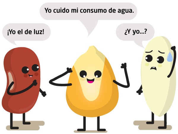 Semillas. Maíz: "Yo cuido mi consumo de agua". Poroto: "¡Yo de la luz!". Arroz: "¿Y yo...?"