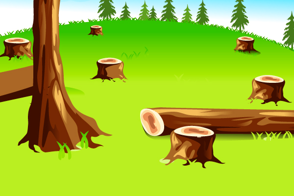BOSQUE CON ÁRBOLES TALADOS